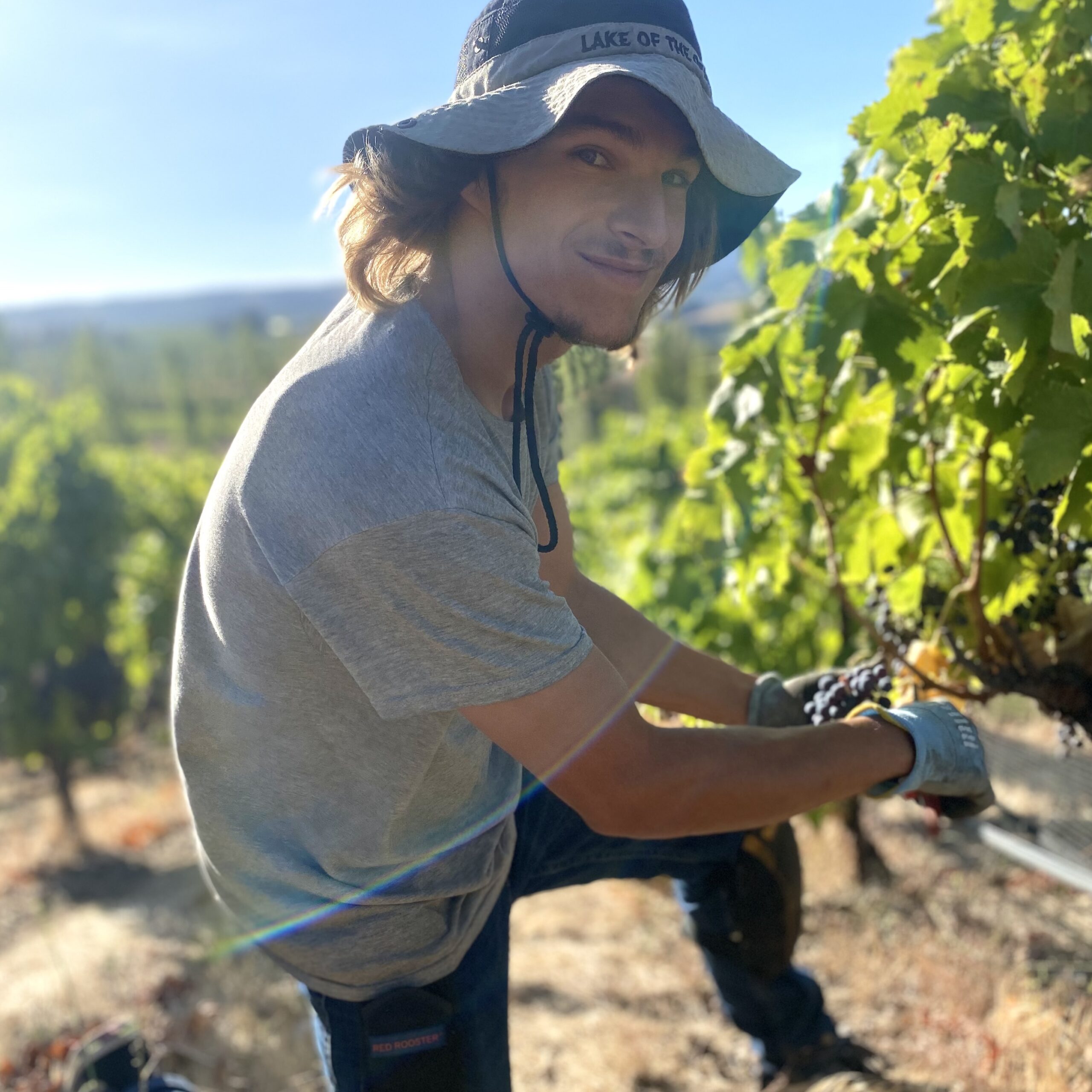 Justin Franklin, Harvest Intern